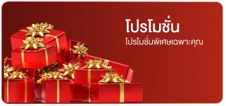 โปรโมชั่น - enjoy24
